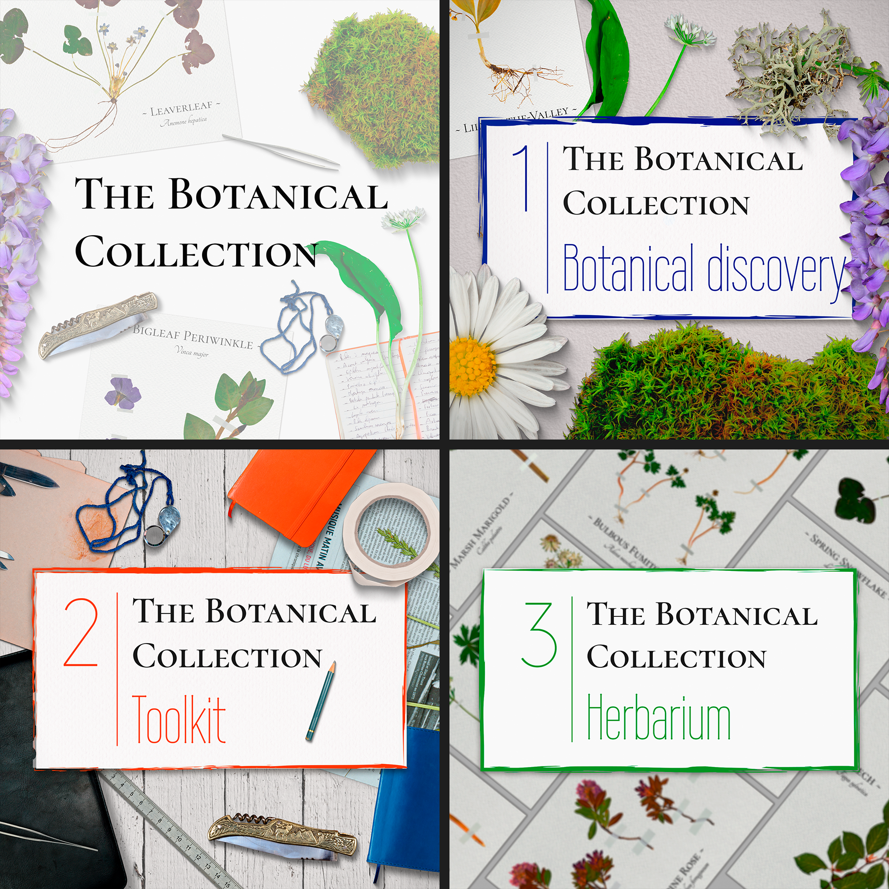 La Collection Botanique